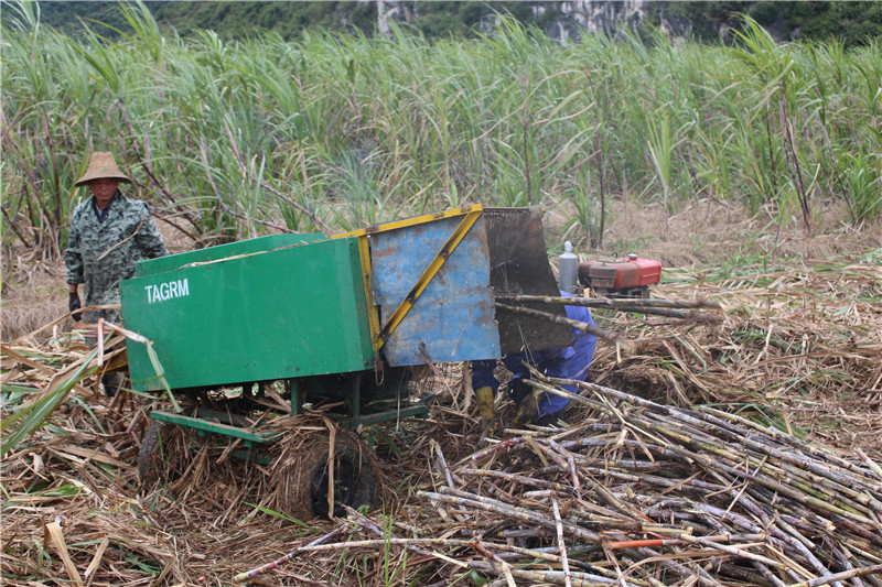 牵引式甘蔗剥叶机